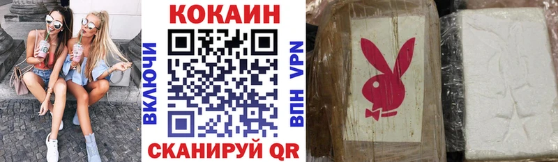 как найти наркотики  Туринск  COCAIN Fish Scale 