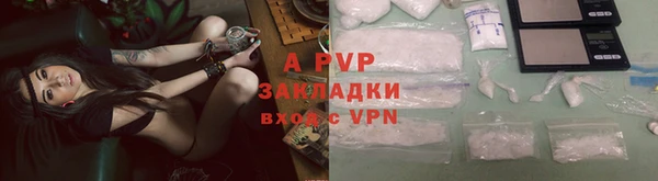 соль ск Алексин
