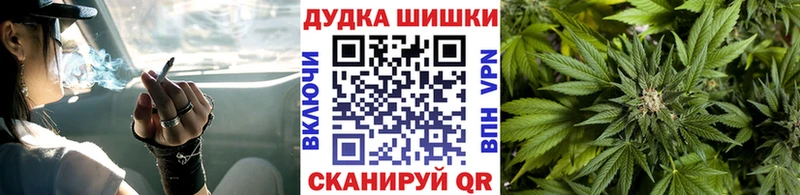 Бошки марихуана план  Туринск 